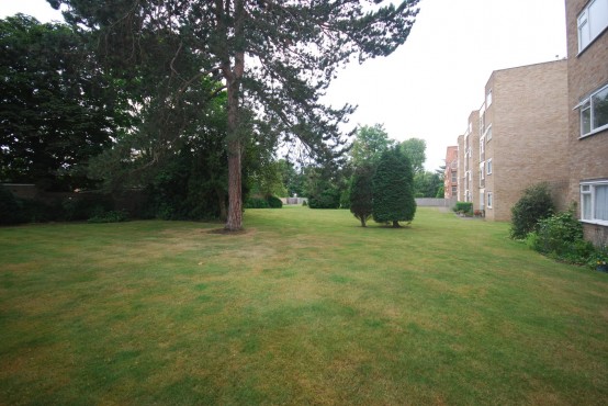 Images for Brackley Road, 15 Brackley Road, BECKENHAM, Kent EAID:1417578892 BID:7719601