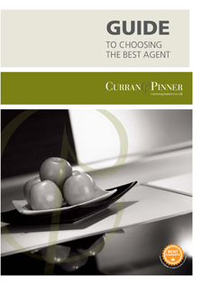 Guide to Choosing the best Agent